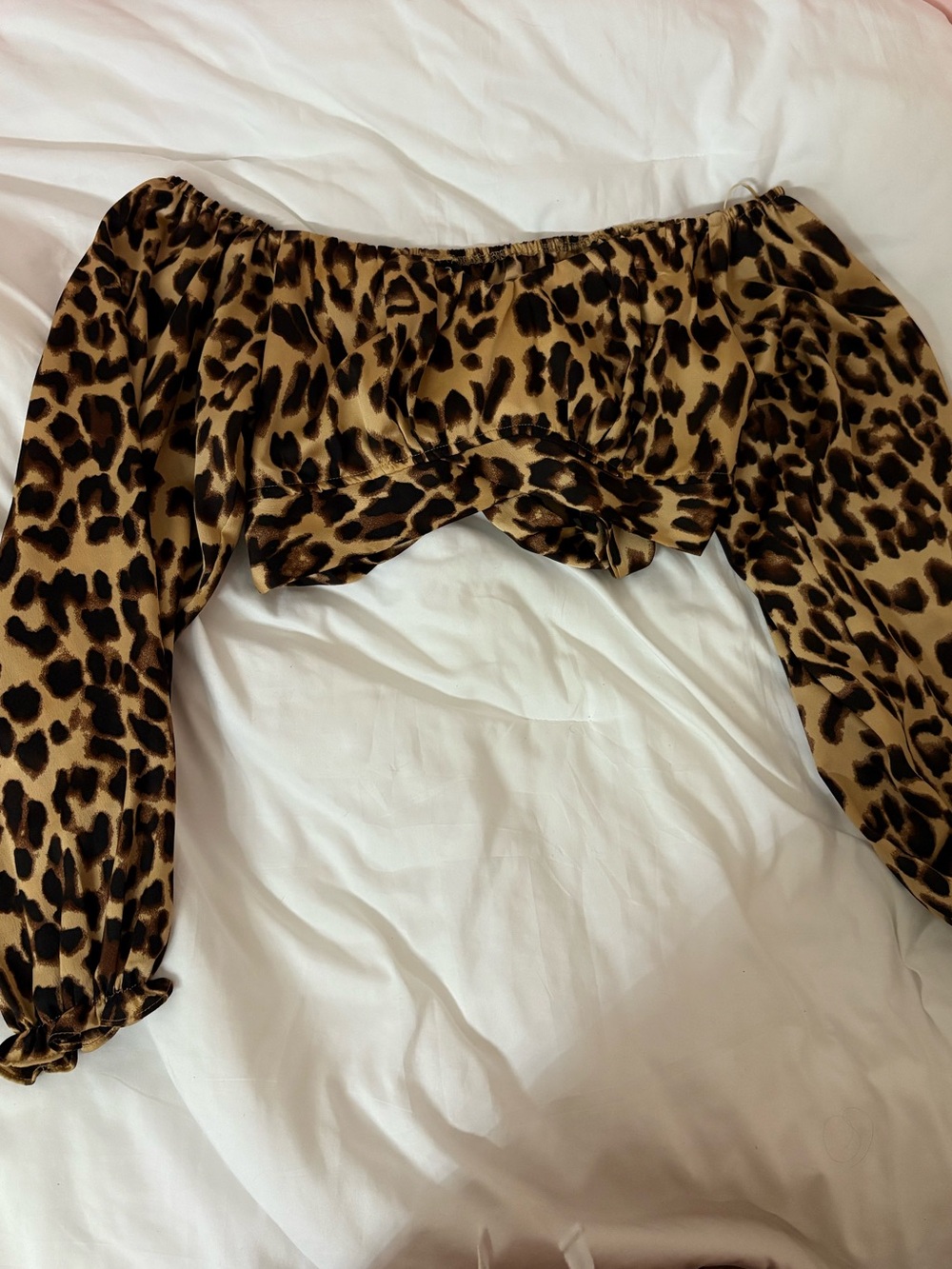 Windsor Leopard Print Off-Shoulder Crop Top in Brown